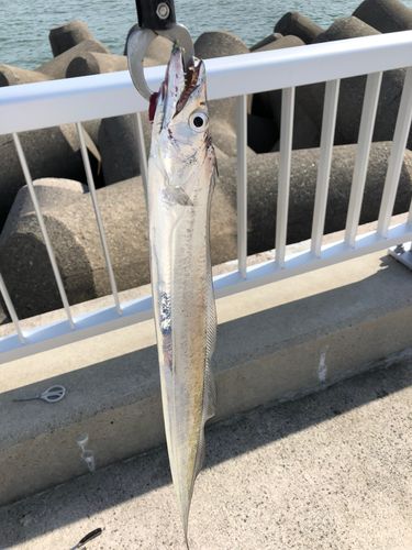 大浜地区ふれあい広場