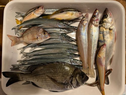牛窓海水浴場