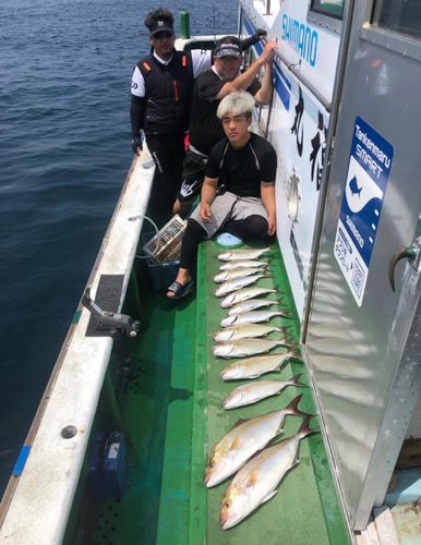 カンパチの釣果
