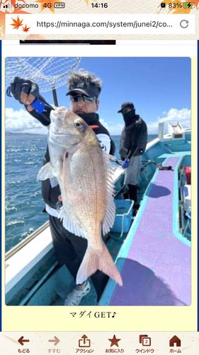 タイの釣果