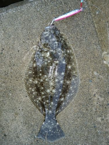 三陸海岸（青森）