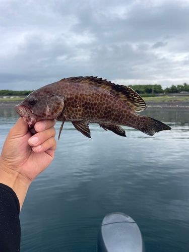 片浜海岸
