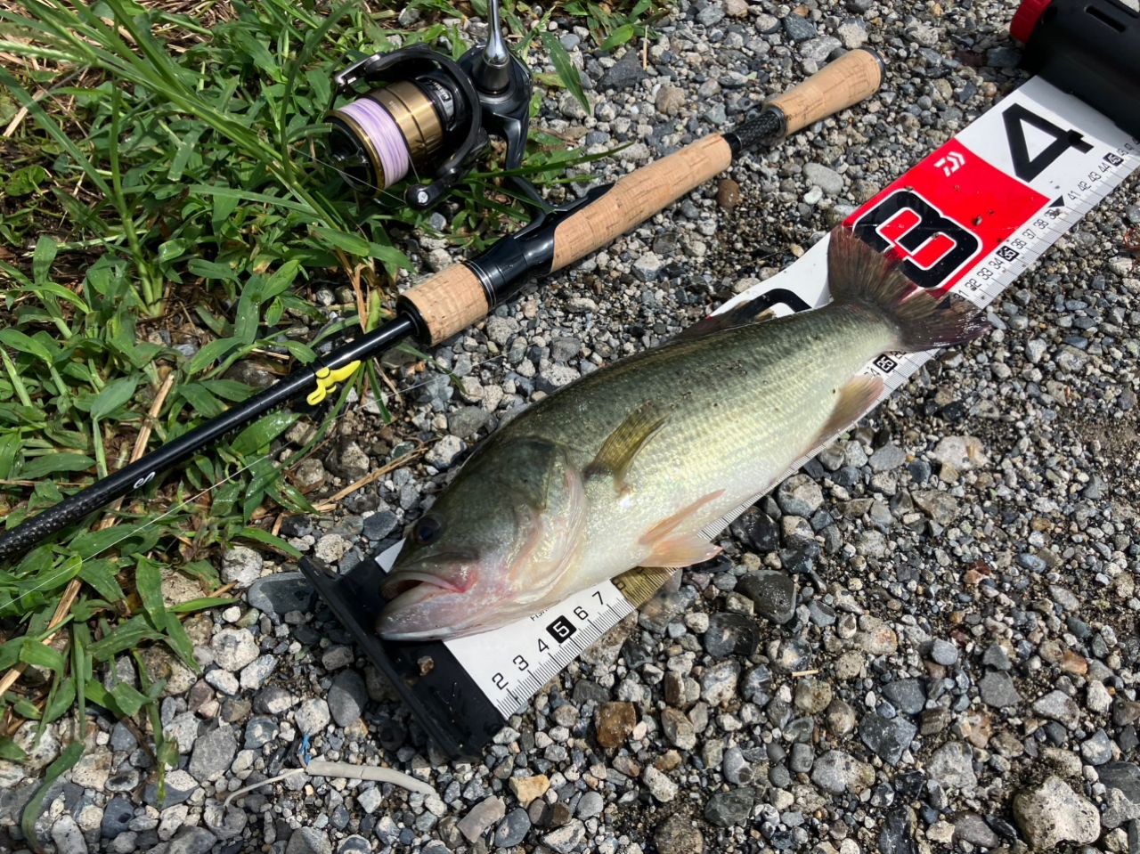 DAIWA 19ブラックレーベル SG 6011UL/MLXS-STの最安値・インプレ・釣果