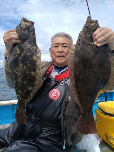 ヒラメの釣果