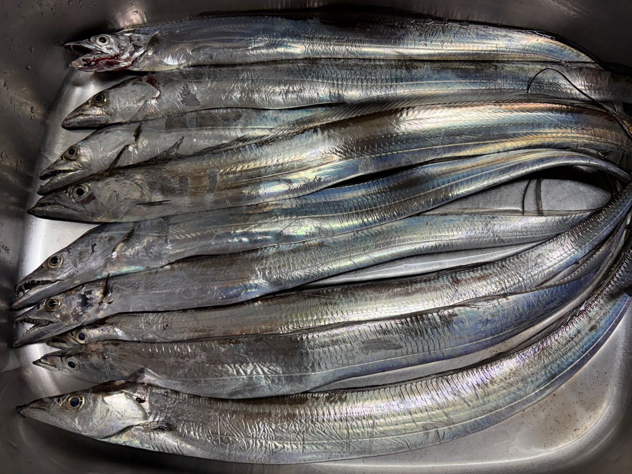 MajorCraft 17ジャイアントキリング ジギングモデル GXJ-S63Mの最安値