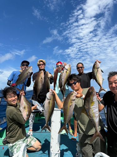 カンパチの釣果