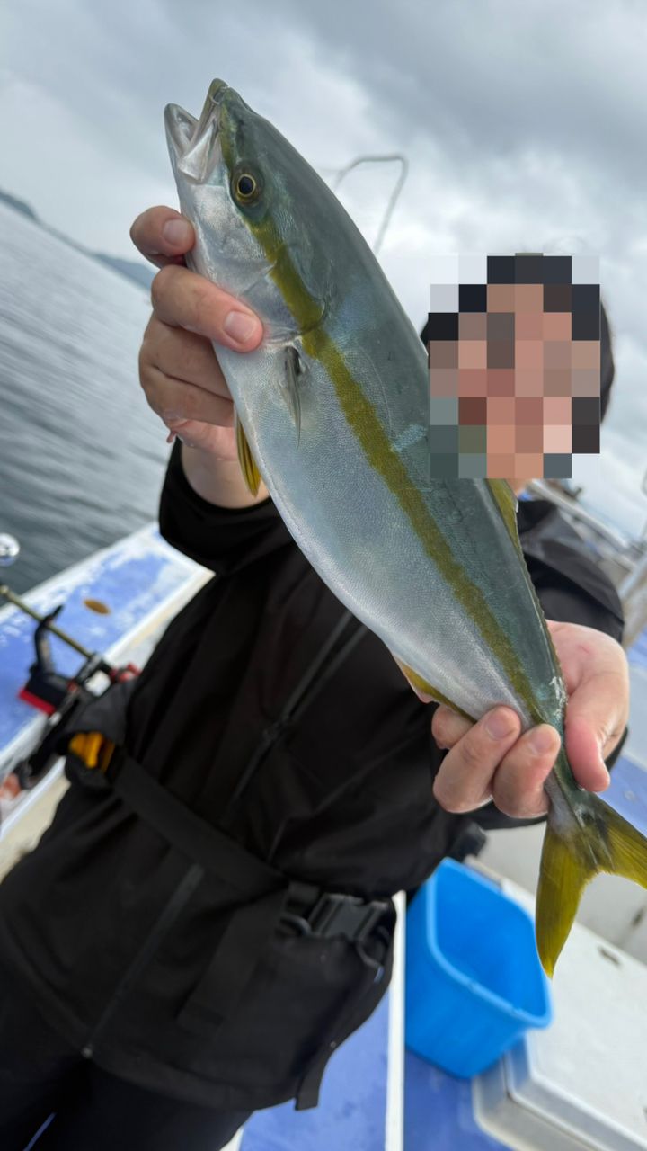 Taa maさんの釣果 2枚目の画像