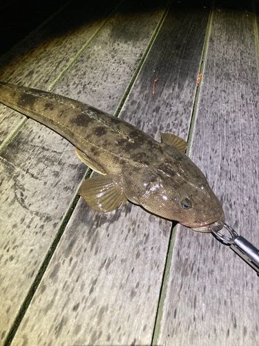 小名浜港アクアマリンふくしま周辺