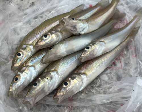 走水