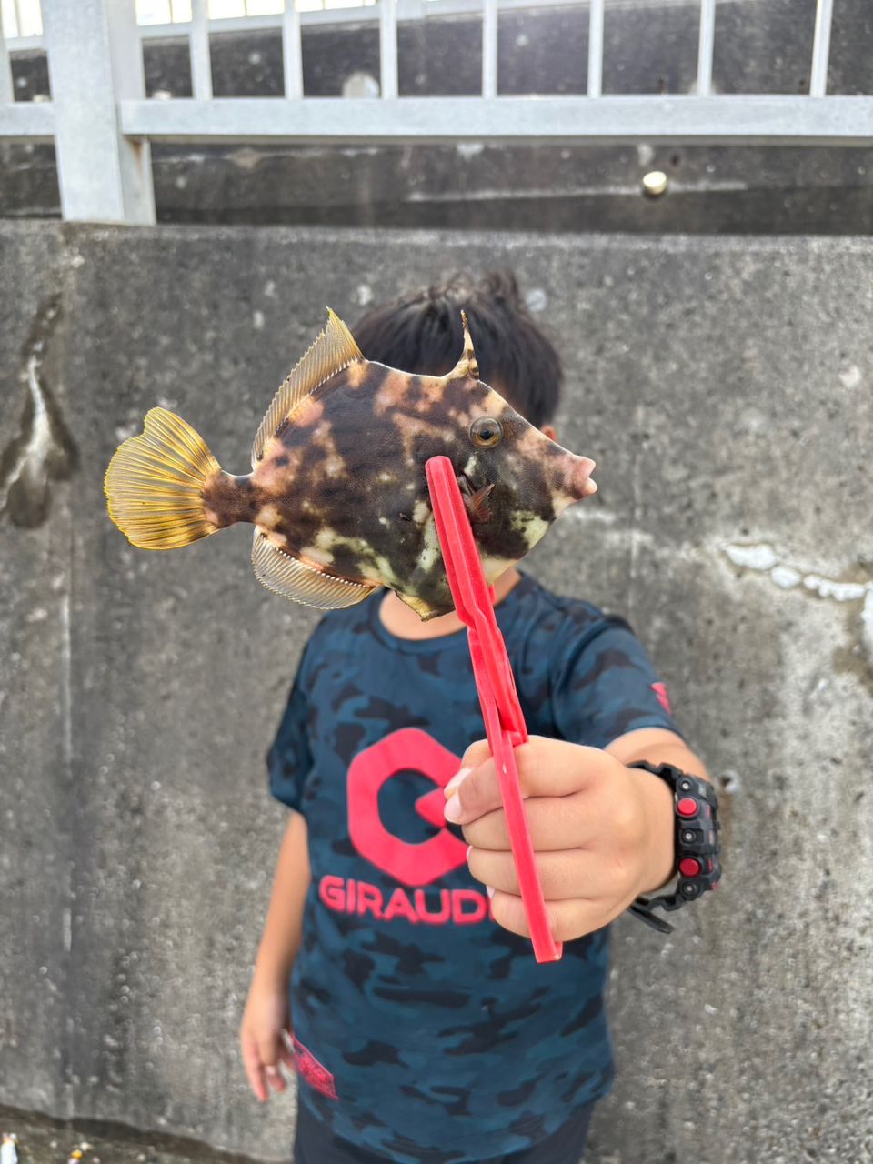 アジ