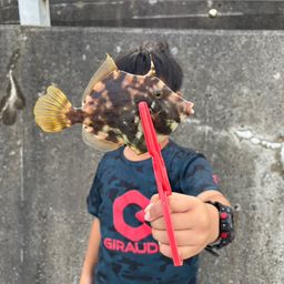 アジ