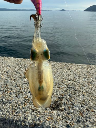 竹浦漁港
