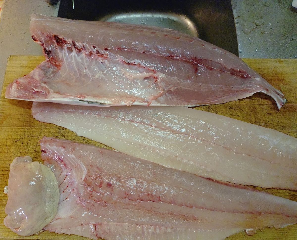 Devilrayさんの釣果 2枚目の画像