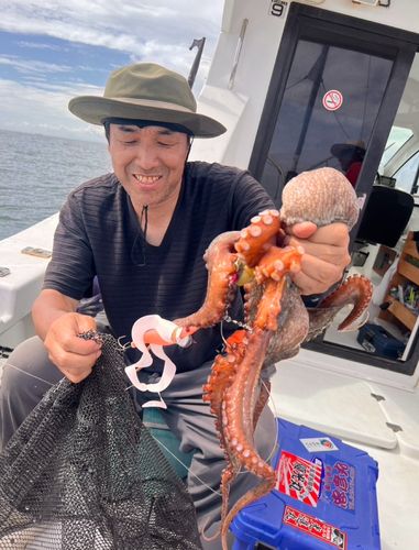 マダコの釣果