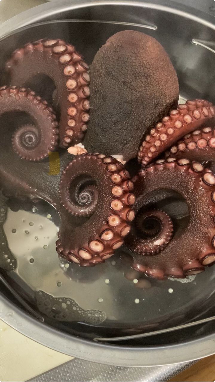 マダコ