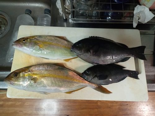 薄香湾
