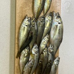 アジ