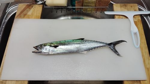 似島