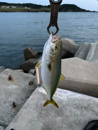 三陸海岸（青森）