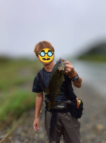 入間川下流