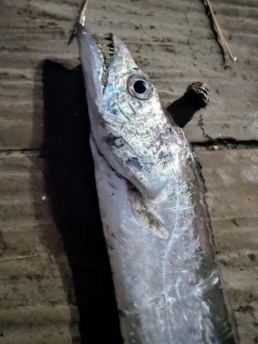 海辺つり公園