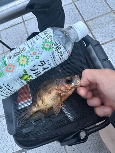 ベイサイドビーチ坂