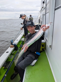 タチウオの釣果