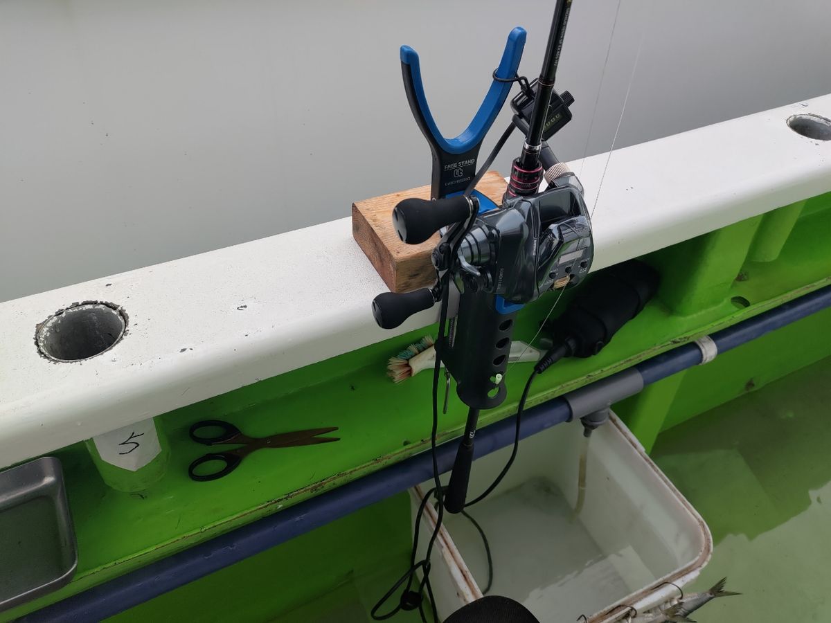 デムデムさんの釣果 3枚目の画像