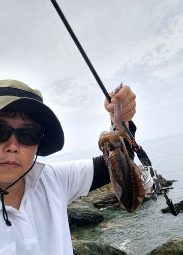 津久見湾