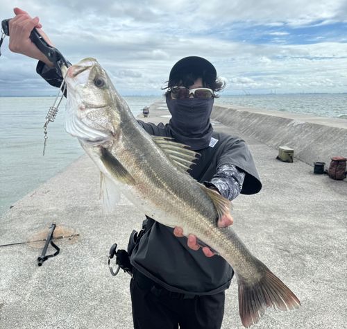 霞釣り公園