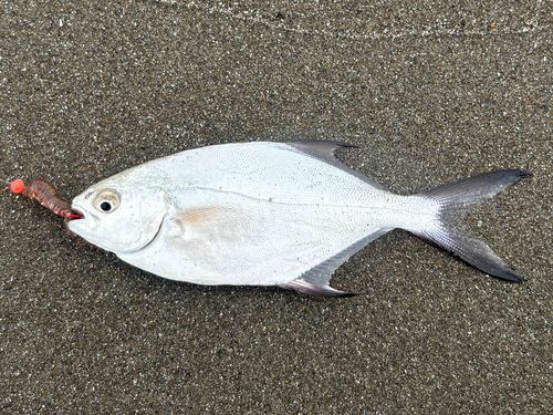三浦海岸