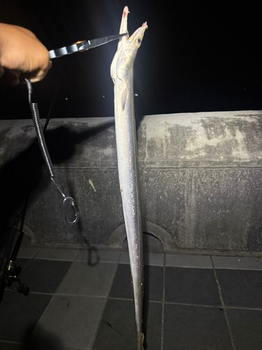 和歌浦湾
