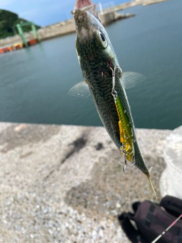 博多湾