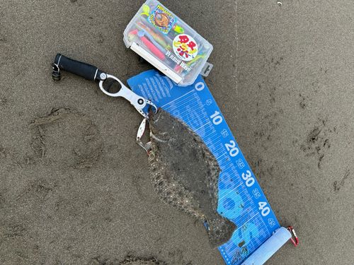 外房