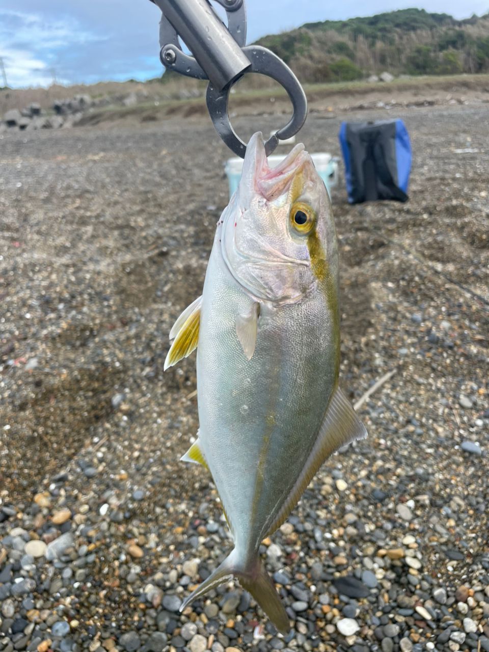 ショゴ