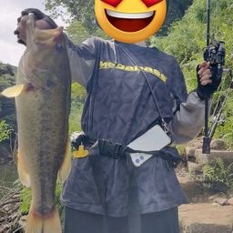 ブラックバス