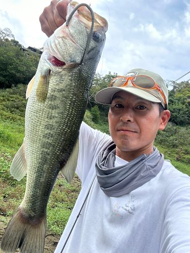 ラージマウスバスの釣果
