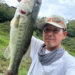 ラージマウスバス