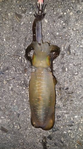 小豆島