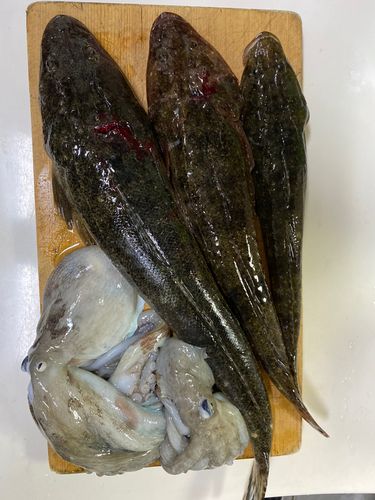 本牧海づり施設