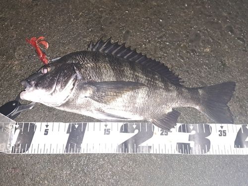 中浜名湖