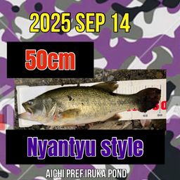 ラージマウスバス