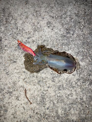 高松沖