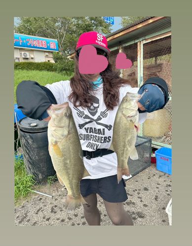 高滝湖
