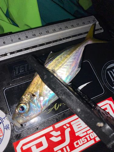 表浜名湖