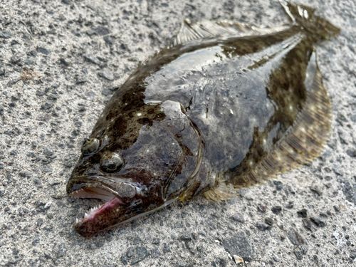 石狩湾