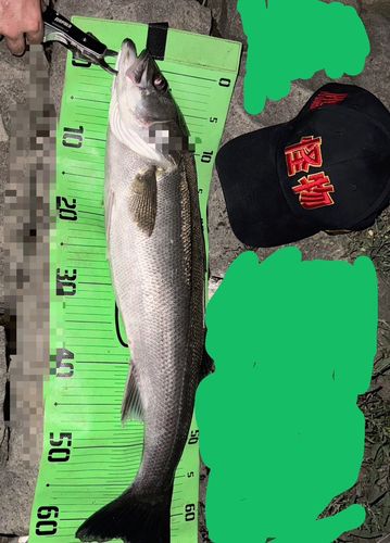 旧北上川