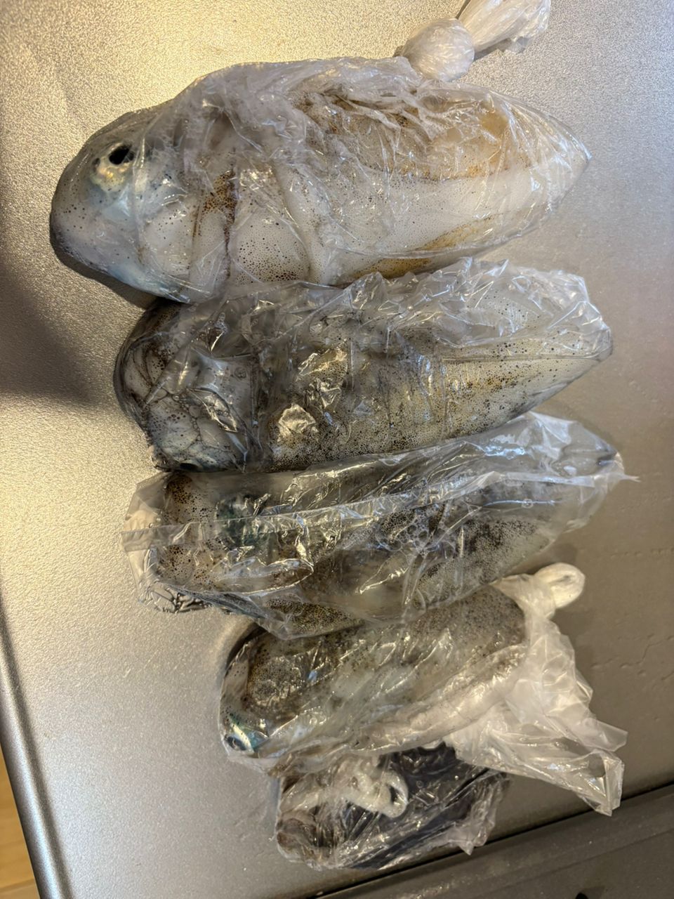 もりもりさんの釣果 2枚目の画像