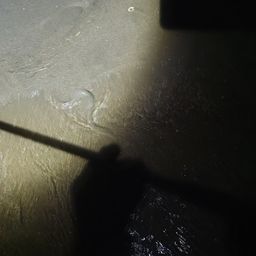 アナゴ