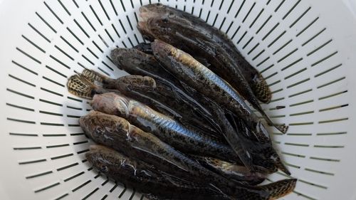三河湾